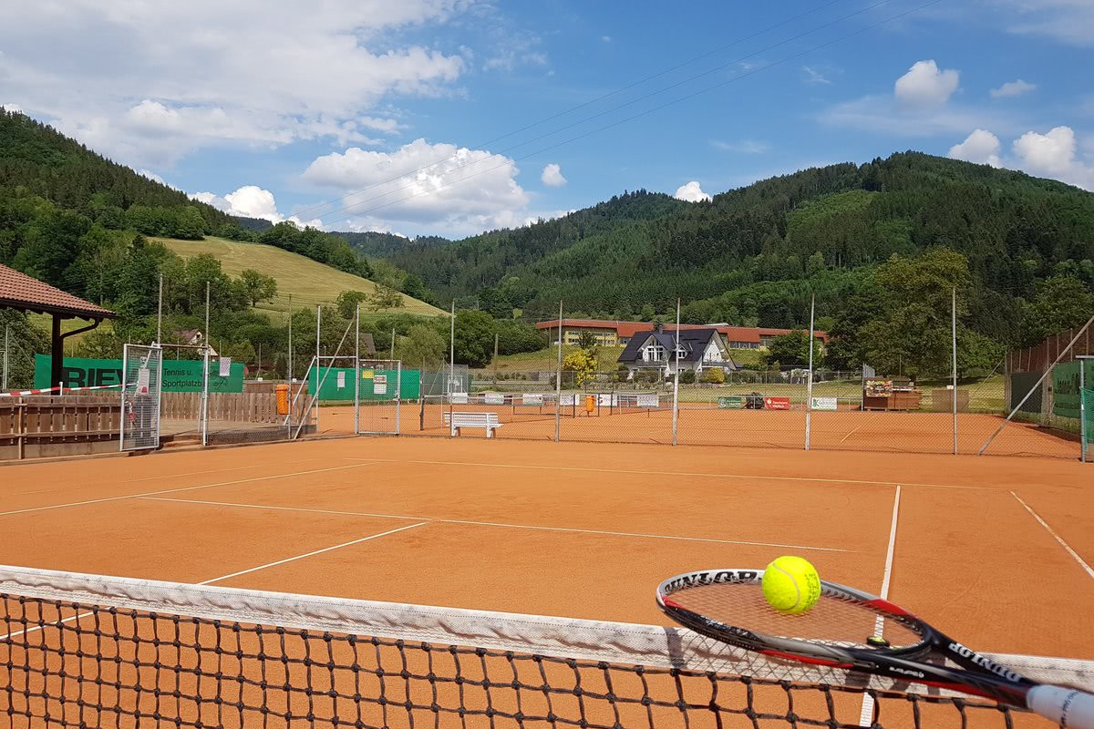 <h2 class="margin-top-0">Schnuppertraining</h2>